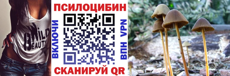 дарнет шоп  Боровичи  Псилоцибиновые грибы MAGIC MUSHROOMS 